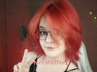 necatoffee Webcam Sexe Direct