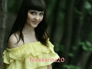 Nicekarina20