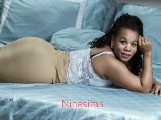 Ninasims