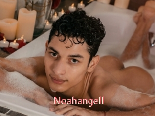 Noahangell