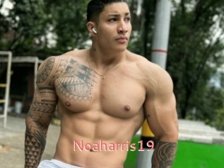 Noaharris19