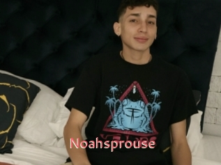 Noahsprouse