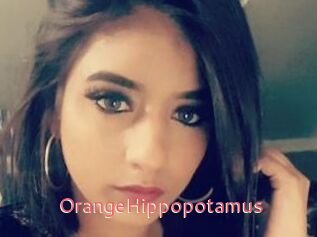 OrangeHippopotamus
