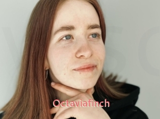 Octaviafinch
