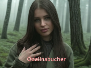 Odelinabucher