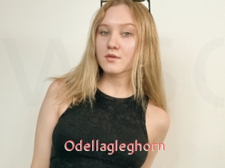 odellagleghorn Webcam Sexe Direct