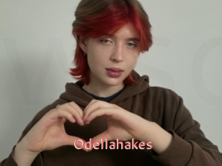 Odellahakes