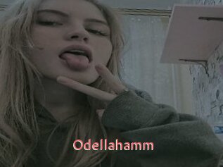 Odellahamm