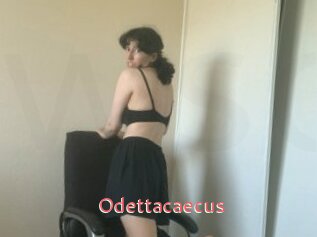 Odettacaecus