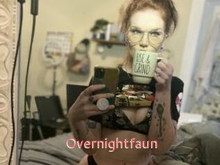 Overnightfaun