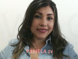 PAMELA_zv