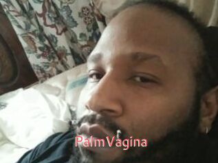 PalmVagina