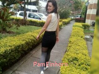 PamEinhorn