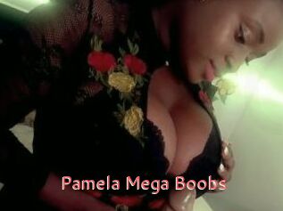 Pamela_Mega_Boobs