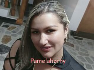 Pamelahorny