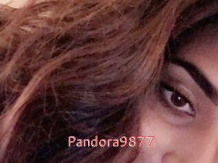 Pandora9877