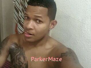 Parker_Maze