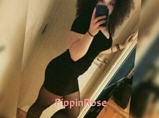 PippinRose