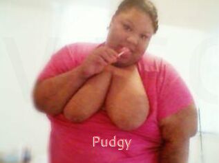 Pudgy