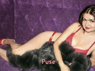 Puse