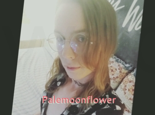 Palemoonflower