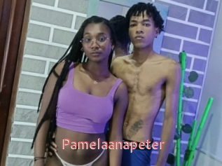 Pamelaanapeter