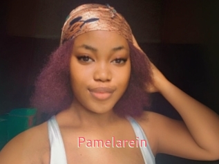 Pamelarein