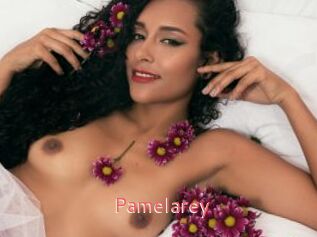 Pamelarey