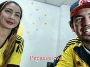 Pegasso_love