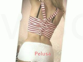 Pelusa
