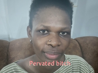 Pervated_bitch