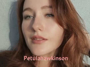Petulahawkinson
