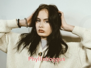 Phyllisboggus