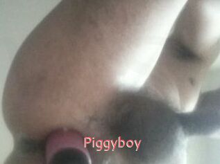 Piggyboy
