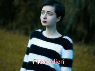 Pileacadieri