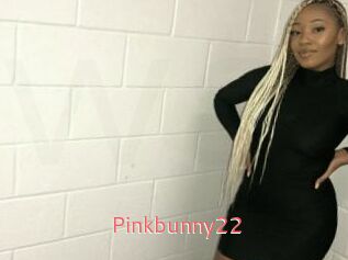 Pinkbunny22