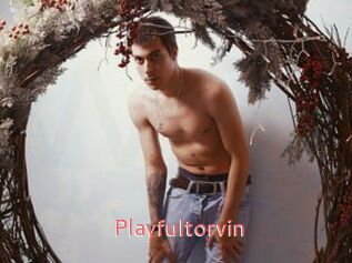 Playfultorvin