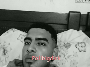 Pollbigdick