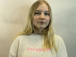 Pollygorse