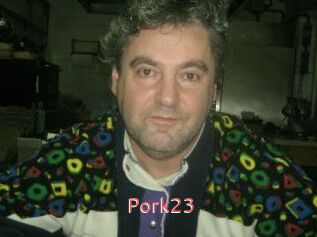 pork23 Webcam Sexe Direct