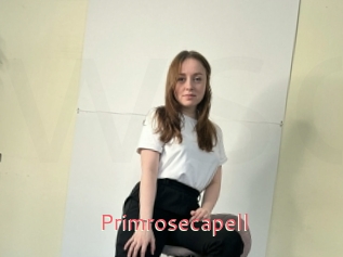 Primrosecapell