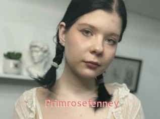 Primrosefenney