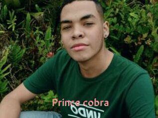 Prince_cobra