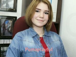 Pumaplayful