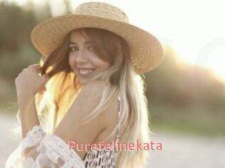 Purefelinekata