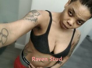 Raven_Stud