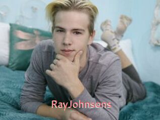 RayJohnsons