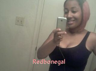Redbonegal