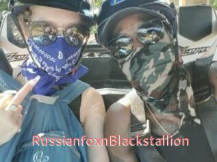 RussianfoxnBlackstallion