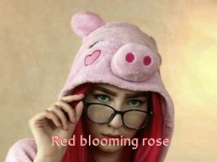 red_blooming_rose Webcam Sexe Direct